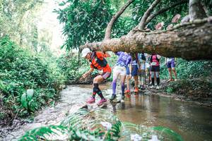 BIB: 
                            <button type="button" onclick="openModal(25474864)" class="btn btn-primary btn-sm float-right btn-popup" data-toggle="modal" data-target=".modal-high-quality">
                        <i class="fas fa-shopping-cart"></i> Add to Cart
                    </button>
                                            <button type="button" onclick="isThisMe(25474864, true)" class="btn btn-success btn-sm float-right btn-popup btn-isme hidden" data-toggle="tooltip" data-placement="bottom" title="นี่คือรูปของคุณใช่ไหม คลิกที่นี่เพื่อเอาเข้าอัลบั้ม">
                        <i class="fas fa-plus"></i> Add to album
                    </button>
                    <button type="button" onclick="isThisMe(25474864, false)" class="btn btn-warning btn-sm float-right btn-popup btn-isnotme hidden">
                        <i class="fas fa-ban"></i> Remove from album
                    </button>